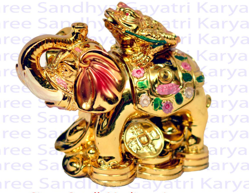 Frog With Elephant - Lucky Coin