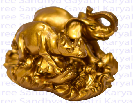 Vastu Elephant Rhino
