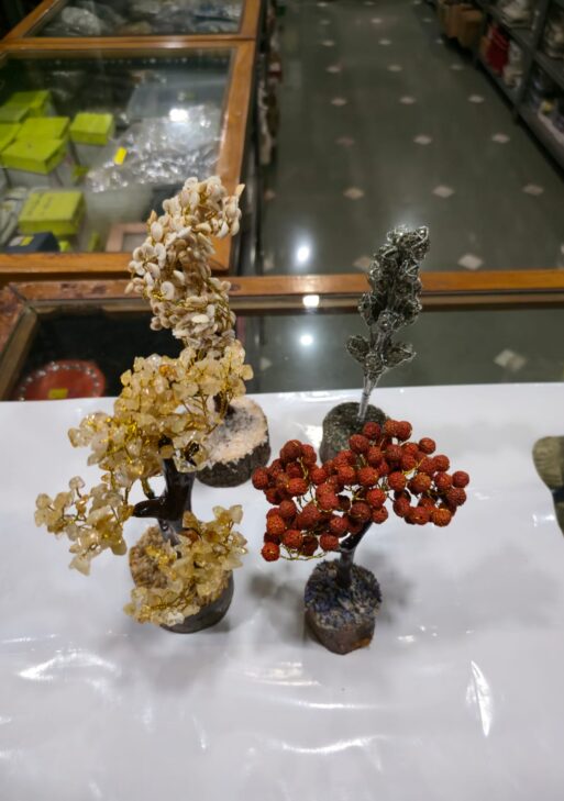 Different Types of Tree