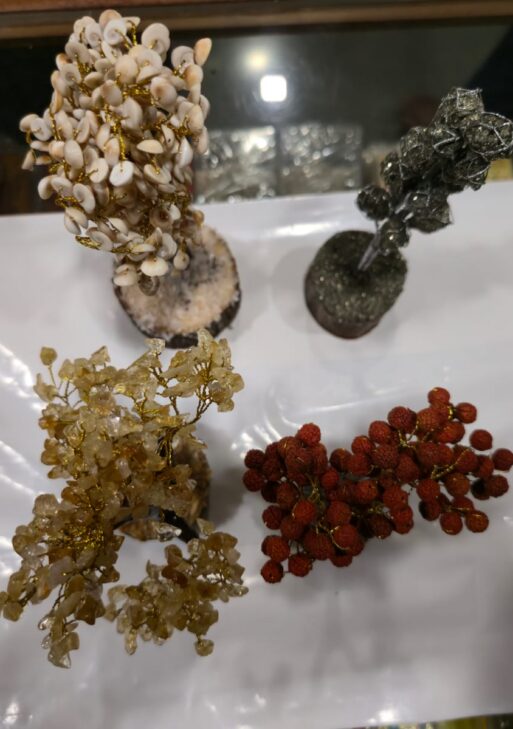 Different Types of Tree