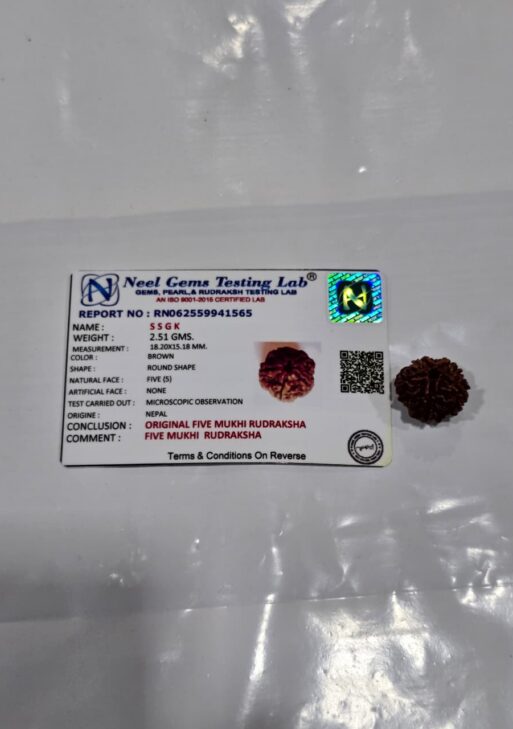 Certified Real Rudraksh