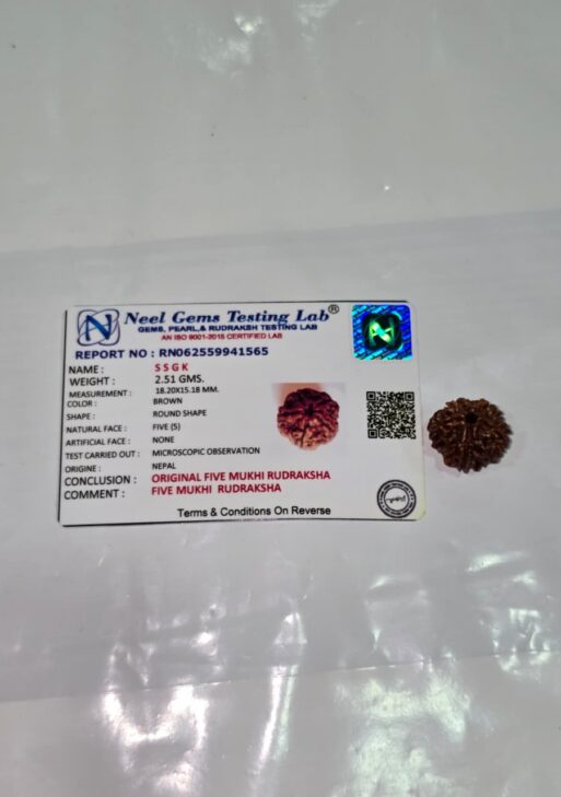 Certified Real Rudraksh